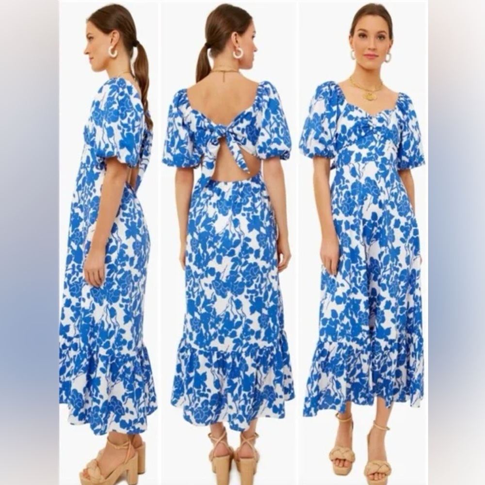 Tags on, never worn. Blue and white floral dress from Hyacinth House.